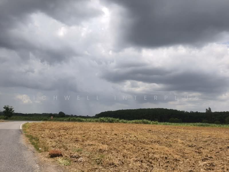 Land for sale in Phanat Nikhom, 15 rai, Soi Wat Ang Wian, near Road 3133-1 km, Chon Buri (Pattaya), Nong Hiang, Phanat Nikhom, Chon Buri (Pattaya), , 24,020 sqm, Land For Sale, by RICHWELL INTERPLUS, 11768779 - DDproperty.com