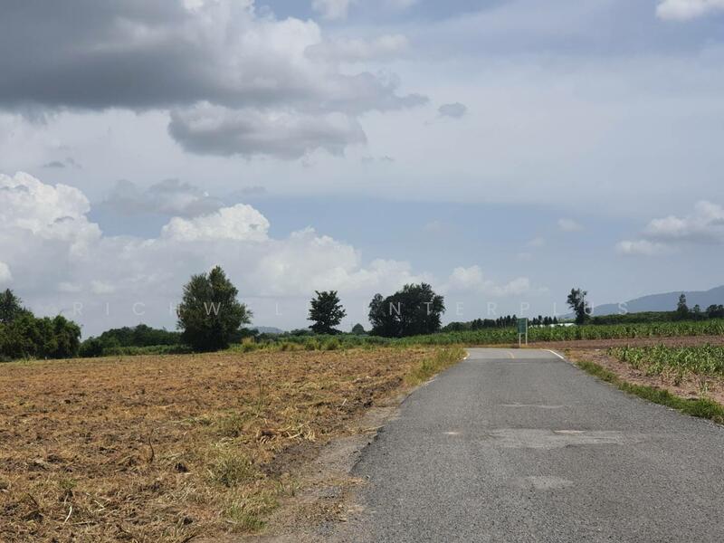 Land for sale in Phanat Nikhom, 15 rai, Soi Wat Ang Wian, near Road 3133-1 km, Chon Buri (Pattaya), Nong Hiang, Phanat Nikhom, Chon Buri (Pattaya), , 24,020 sqm, Land For Sale, by RICHWELL INTERPLUS, 11768779 - DDproperty.com
