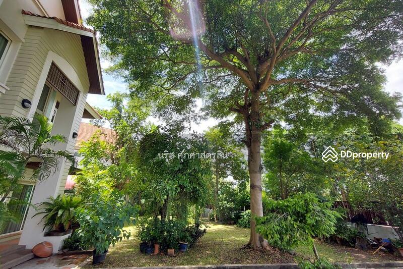 ขาย - ขาย บ้านเดี่ยว 178 ตร.ว. วราบดินทร์ Warabodin ปทุมธานี, ปทุมธานี