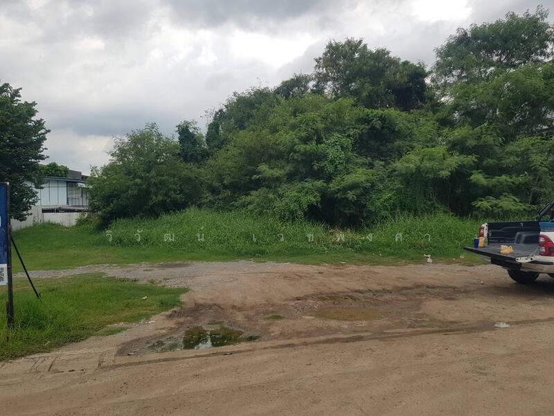 Land for sale at Sukhumvit101(Punna Withi24)824sq.m. Close to BTS, Bangkok, Bang Chak, Phra Khanong, Bangkok, , 1,644 sqm, Land For Sale, by วิวัฒน์ เวชพงศา, 11768920 - DDproperty.com