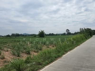 ขาย - ขายที่ดินหนองอิรุณ 80 ไร่ ติดถนน2ด้าน ติดคลองใหญ่ ใกล้ถ.สัตหีบ-พนมสารคาม(331), ชลบุรี