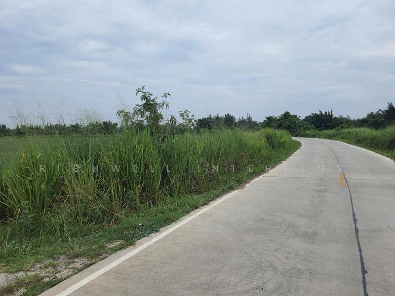 Land for sale in Nong Irum, 79 rai, on 2 sides of the road, next to a large canal, Chon Buri (Pattaya), Nong I-run, Ban Bung, Chon Buri (Pattaya), , 127,961 sqm, Land For Sale, by RICHWELL INTERPLUS, 11768987 - DDproperty.com