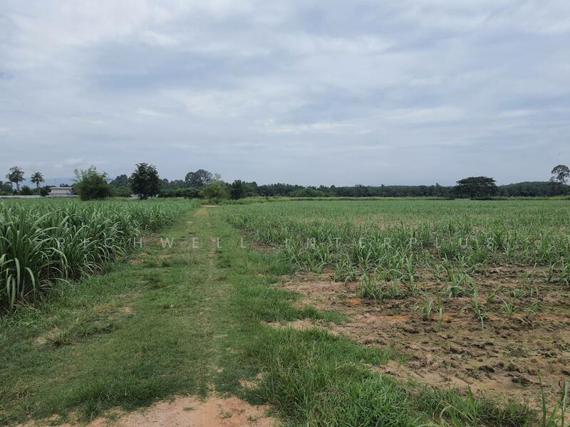 Land for sale in Nong Irum, 79 rai, on 2 sides of the road, next to a large canal, Chon Buri (Pattaya), Nong I-run, Ban Bung, Chon Buri (Pattaya), , 127,961 sqm, Land For Sale, by RICHWELL INTERPLUS, 11768987 - DDproperty.com