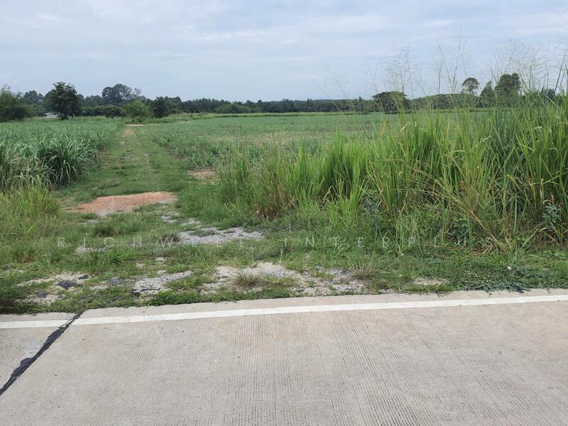 Land for sale in Nong Irum, 79 rai, on 2 sides of the road, next to a large canal, Chon Buri (Pattaya), Nong I-run, Ban Bung, Chon Buri (Pattaya), , 127,961 sqm, Land For Sale, by RICHWELL INTERPLUS, 11768987 - DDproperty.com