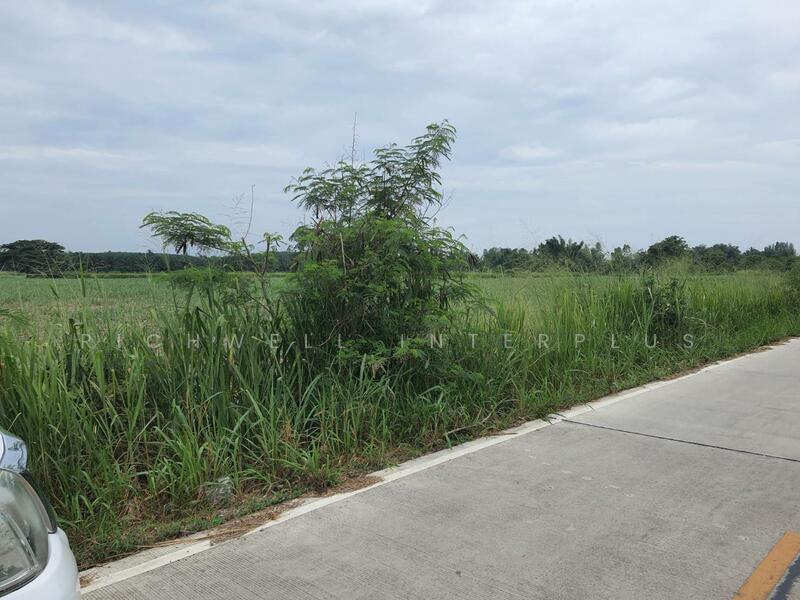 ขายที่ดินหนองอิรุณ 79 ไร่ ติดถนน2ด้าน ติดคลองใหญ่ ใกล้ถ.สัตหีบ-พนมสารคาม(331), ชลบุรี, หนองอิรุณ, บ้านบึง, ชลบุรี, 127,961 ตร.ม., ที่ดิน ขาย, โดย RICHWELL INTERPLUS, 11768987 - DDproperty.com