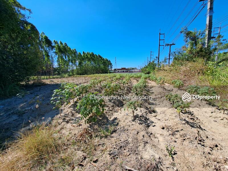 For Sale - Land for sale in Bo Thong, 6 rai, on the highway, Chonburi, Chon Buri