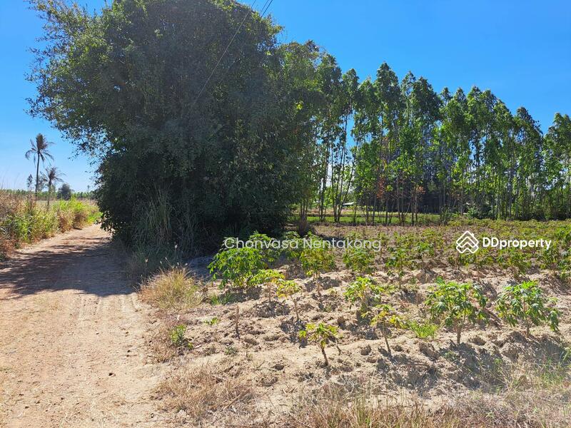 For Sale - Land for sale in Bo Thong, 6 rai, on the highway, Chonburi, Chon Buri