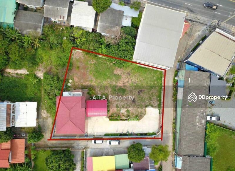 For Rent - House with land, Sukhumvit, Sriracha, Chon Buri