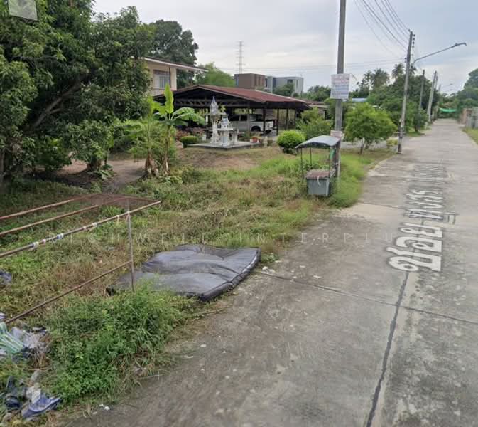 ขายที่ดินบ้านสวน 3 ไร่ ติดถนนคอนกรีต2ด้านซอยทุ่งสระ3 ใกล้ถนนบายพาส(361)-450เมตร เมืองชลบุรี, ชลบุรี, บ้านสวน, เมืองชลบุรี, ชลบุรี, 5,656 ตร.ม., ที่ดิน ขาย, โดย RICHWELL INTERPLUS, 11769535 - DDproperty.com
