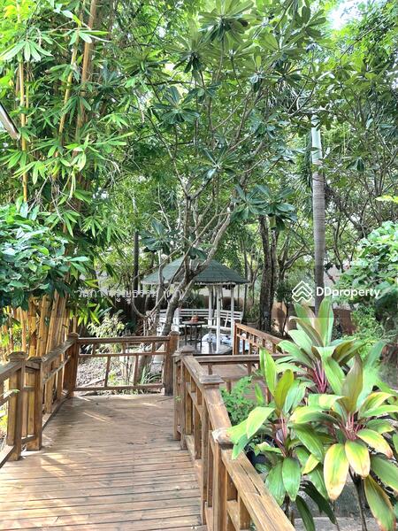 ขาย - Land & House Park Khonkaen : แลนด์ แอนด์ เฮ้าส์ พาร์ค ขอนแก่น, ขอนแก่น