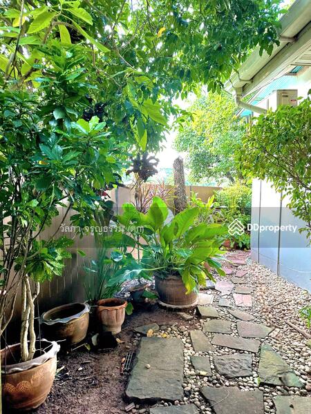 ขาย - Land & House Park Khonkaen : แลนด์ แอนด์ เฮ้าส์ พาร์ค ขอนแก่น, ขอนแก่น