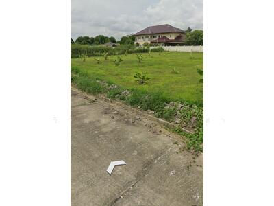 ขาย - ขายที่หางดง เชียงใหม่ ใกล้มหาวิทยาลัยนอร์ท-เชียงใหม่ 185 ตรว., เชียงใหม่