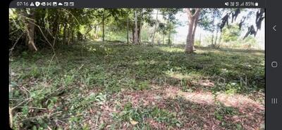 ขาย - Blue Canyon Golf And Country Club : บลูแคนยอน กอล์ฟแอนด์คันทรี, ภูเก็ต