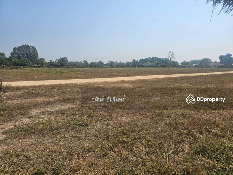 For Sale - เชียงใหม่, Chiang Mai