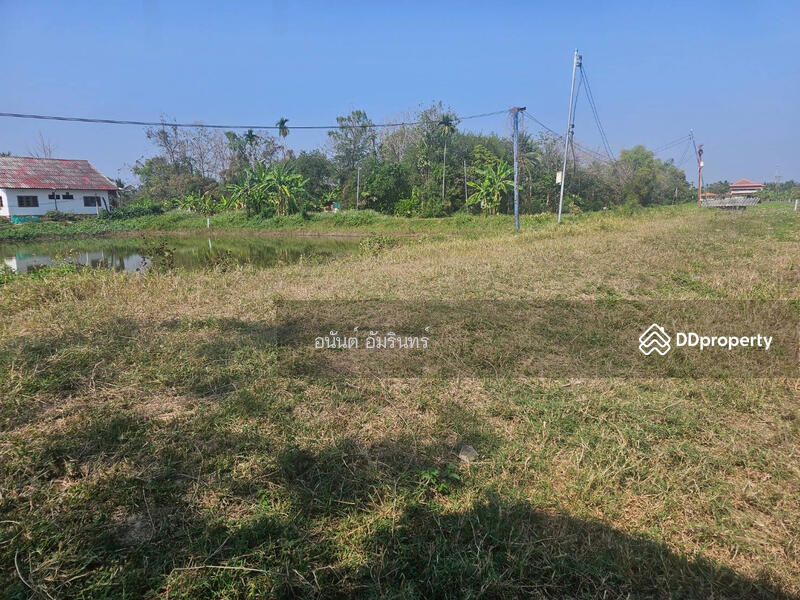 For Sale - เชียงใหม่, Chiang Mai