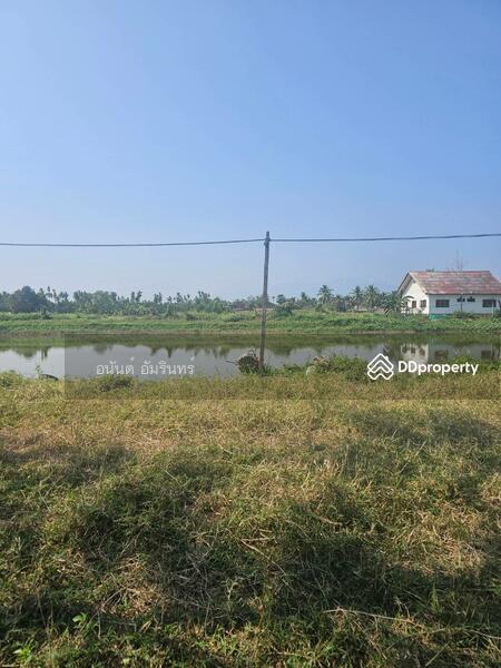 For Sale - เชียงใหม่, Chiang Mai