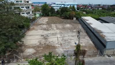 ขาย - ที่ดินแพรกษา ซอยเทศบาลบางปู 30 ขนาด 1 ไร่ 2 งาน 63 ตร.วา | เหมาะสร้างโกดัง ออฟฟิศ หรือบ้านพักอาศัย, สมุทรปราการ