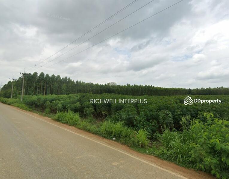 For Sale - Land for sale, square pond, 11 rai, next to asphalt road, near four-lane road, 331-280 meters., Chon Buri