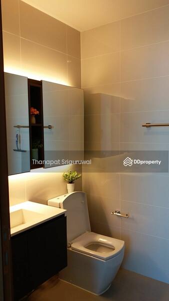 ขาย - The Line Sukhumvit 71 : เดอะ ไลน์ สุขุมวิท 71, กรุงเทพ