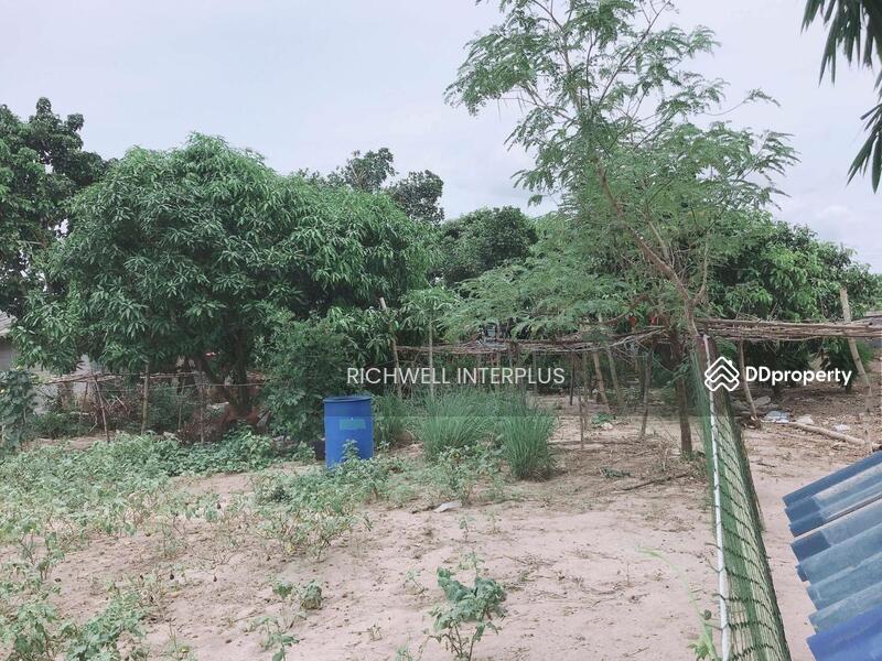 For Sale - House for sale with long plot of land, area 300 sq m, on a concrete road, near Bang Bo Market 3 km., Chachoengsao