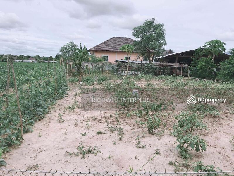 For Sale - House for sale with long plot of land, area 300 sq m, on a concrete road, near Bang Bo Market 3 km., Chachoengsao