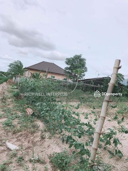 For Sale - House for sale with long plot of land, area 300 sq m, on a concrete road, near Bang Bo Market 3 km., Chachoengsao