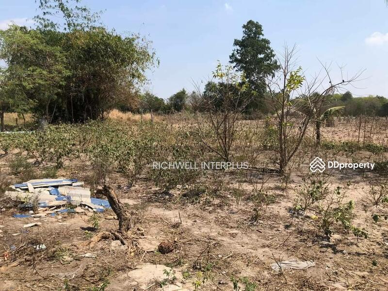 For Sale - House for sale with long plot of land, area 300 sq m, on a concrete road, near Bang Bo Market 3 km., Chachoengsao