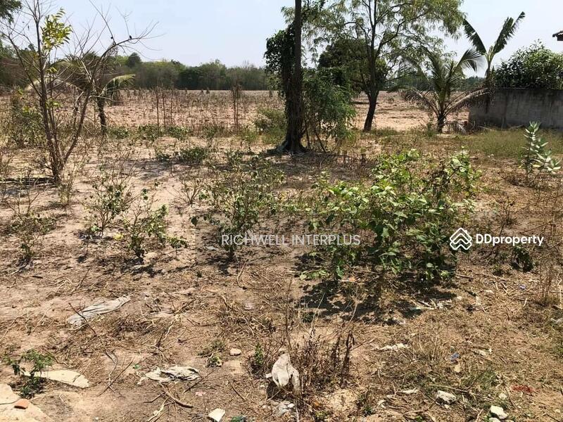 For Sale - House for sale with long plot of land, area 300 sq m, on a concrete road, near Bang Bo Market 3 km., Chachoengsao