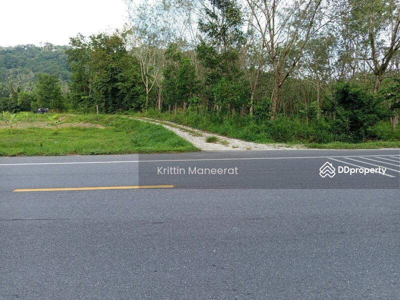 ขาย - ที่ดิน 7.75 ไร่ ทำเลสวย ทุ่งหวัง สงขลา, สงขลา