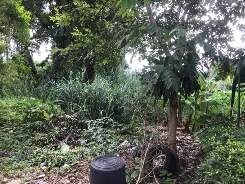 ขาย - ซอยนนทบุรี 46(ไทยยานนท์16/2), นนทบุรี