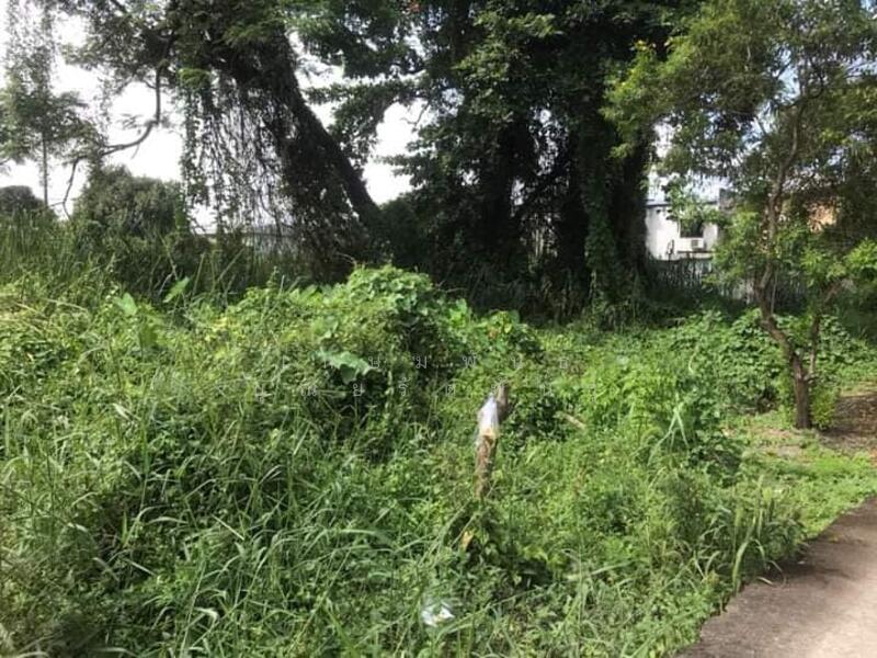 ขาย - ซอยนนทบุรี 46(ไทยยานนท์16/2), นนทบุรี