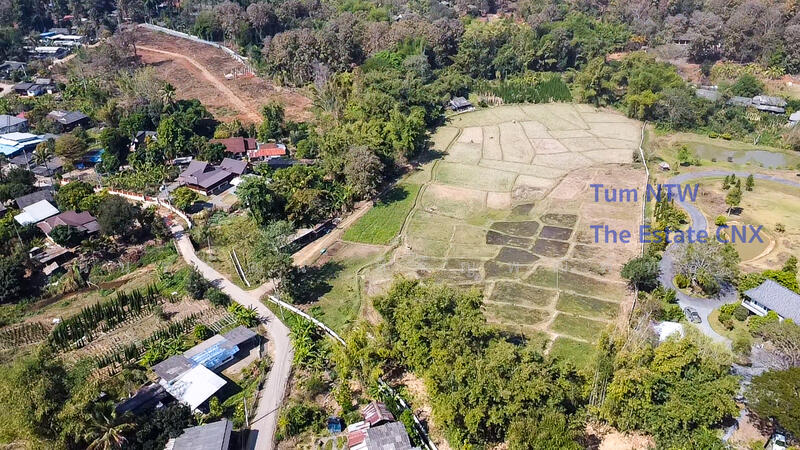 ขาย - ขายที่ดิน แม่ออน ที่ดิน 10 ไร่ ติดแม่น้ำ, เชียงใหม่