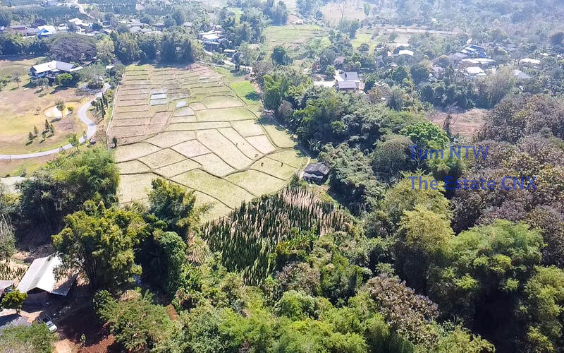 ขาย - ขายที่ดิน แม่ออน ที่ดิน 10 ไร่ ติดแม่น้ำ, เชียงใหม่