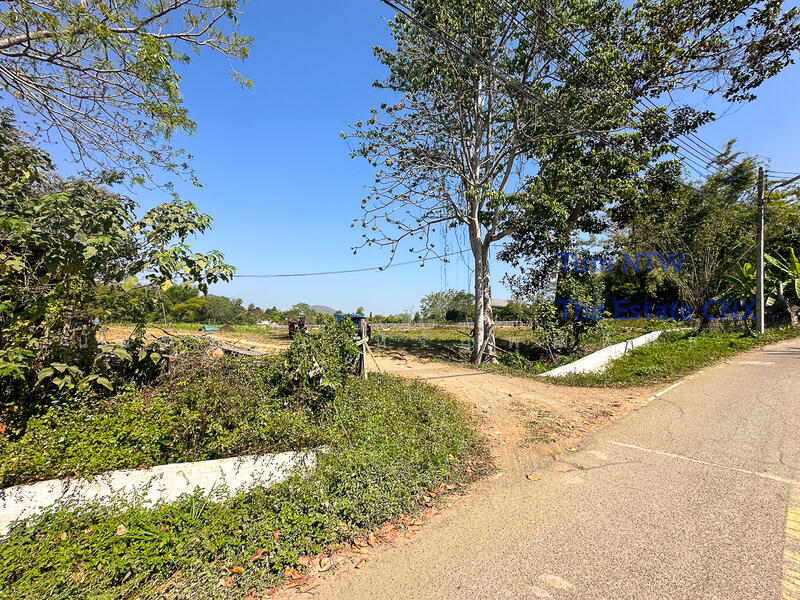 ขาย - ขายที่ดิน แม่ออน ที่ดิน 10 ไร่ ติดแม่น้ำ, เชียงใหม่