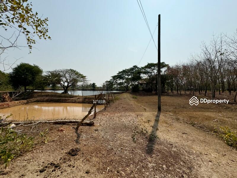 ขาย - PMXJ+QMV Phra That Bang Phuan, Mueang Nong Khai District, Nong Khai, หนองคาย