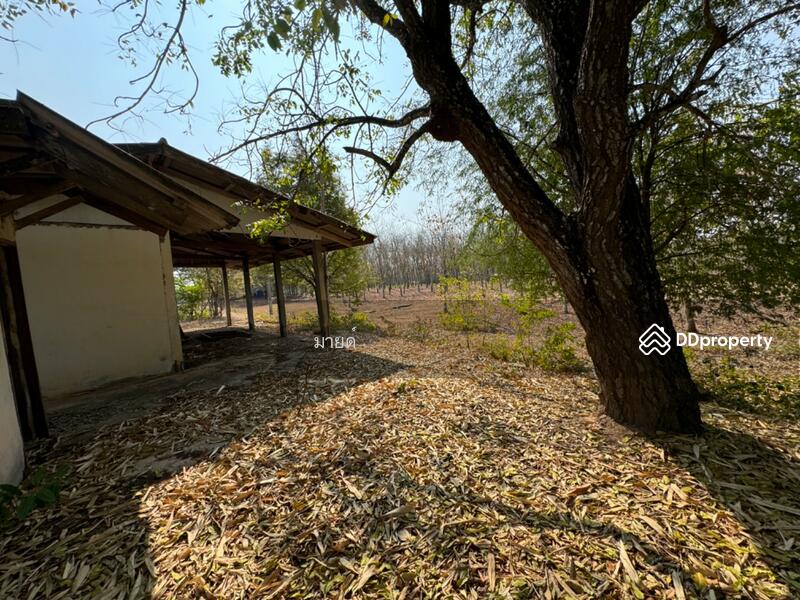ขาย - PMXJ+QMV Phra That Bang Phuan, Mueang Nong Khai District, Nong Khai, หนองคาย