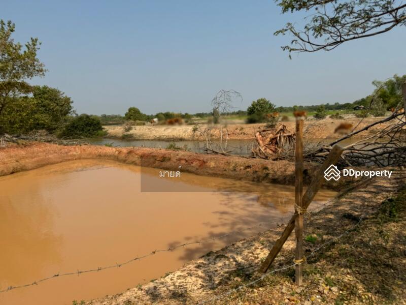 ขาย - PMXJ+QMV Phra That Bang Phuan, Mueang Nong Khai District, Nong Khai, หนองคาย