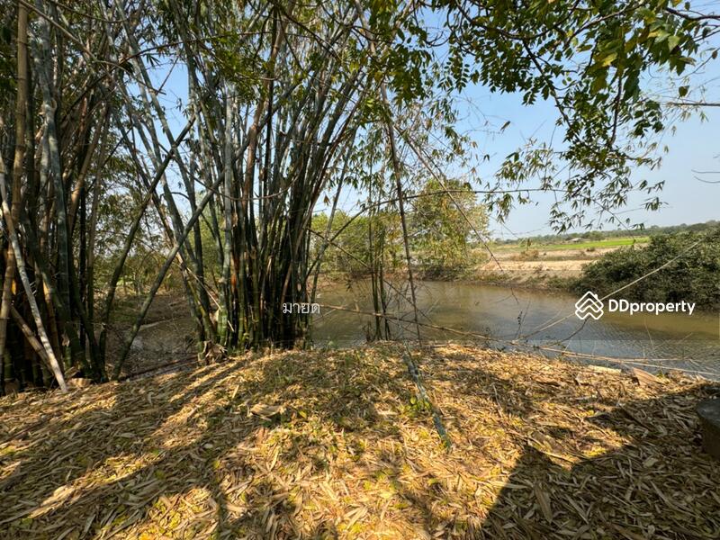 ขาย - PMXJ+QMV Phra That Bang Phuan, Mueang Nong Khai District, Nong Khai, หนองคาย