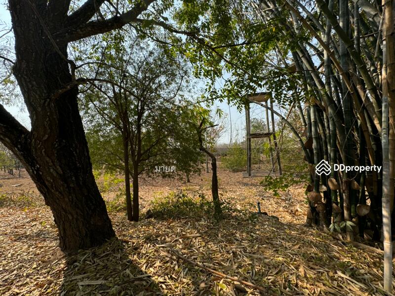ขาย - PMXJ+QMV Phra That Bang Phuan, Mueang Nong Khai District, Nong Khai, หนองคาย