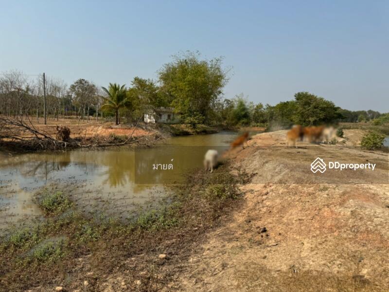 ขาย - PMXJ+QMV Phra That Bang Phuan, Mueang Nong Khai District, Nong Khai, หนองคาย