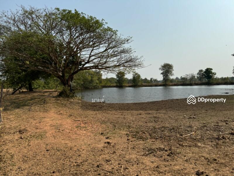 ขาย - PMXJ+QMV Phra That Bang Phuan, Mueang Nong Khai District, Nong Khai, หนองคาย