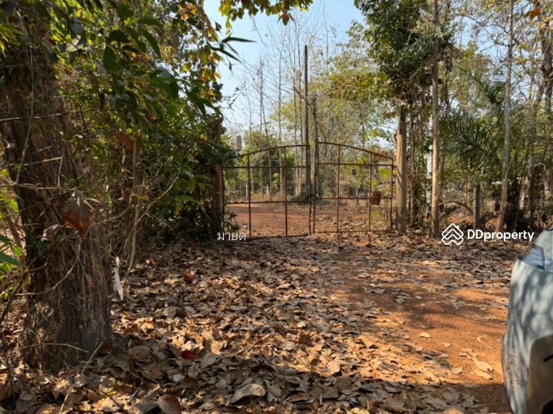 ขาย - PMXJ+QMV Phra That Bang Phuan, Mueang Nong Khai District, Nong Khai, หนองคาย