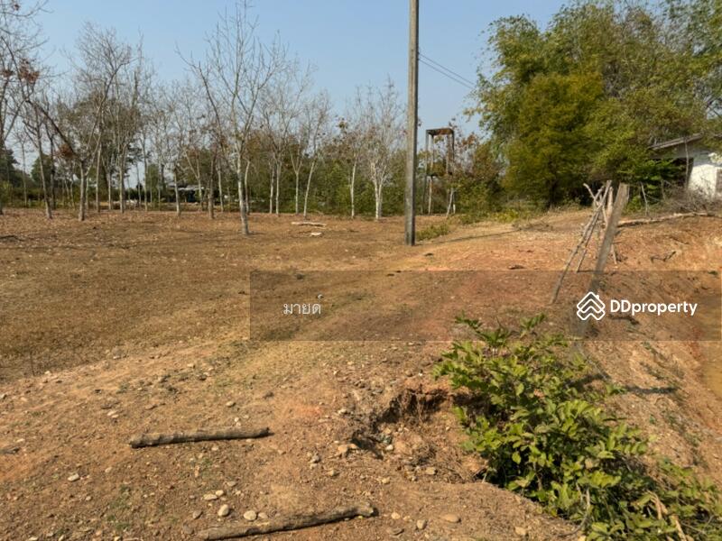 ขาย - PMXJ+QMV Phra That Bang Phuan, Mueang Nong Khai District, Nong Khai, หนองคาย