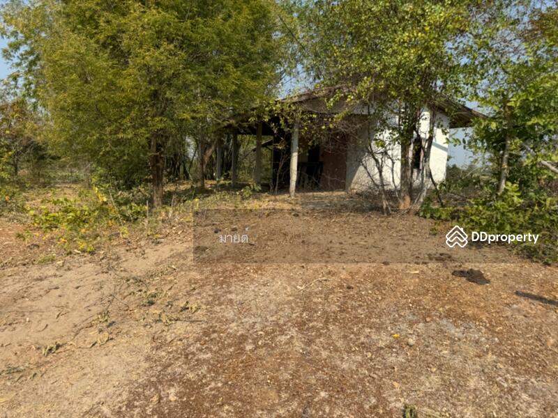 ขาย - PMXJ+QMV Phra That Bang Phuan, Mueang Nong Khai District, Nong Khai, หนองคาย