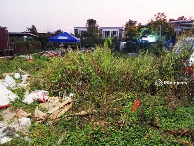 ขาย - ที่ดินทุ่งครุ กรุงเทพมหานคร, กรุงเทพ