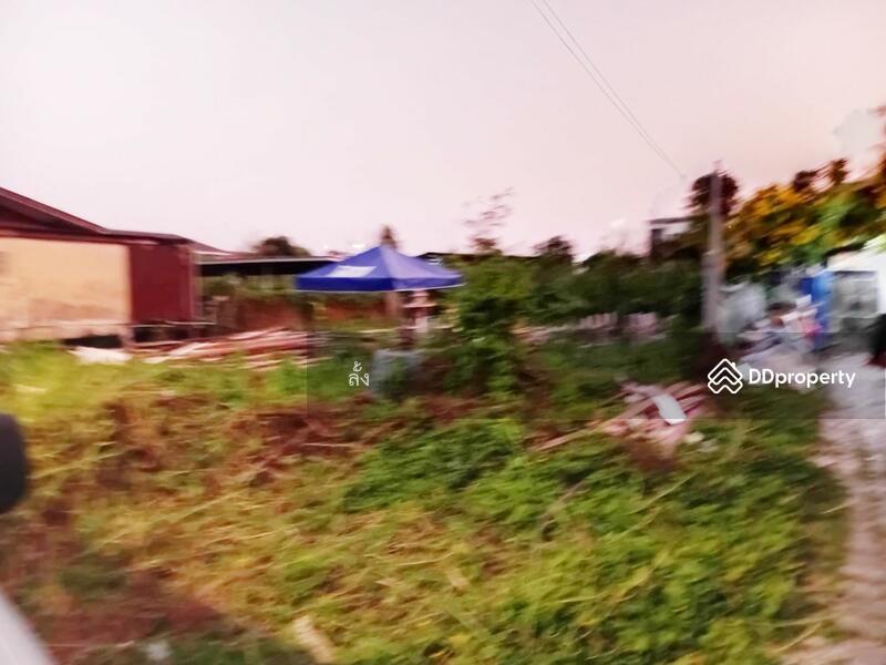 ขาย - ที่ดินทุ่งครุ กรุงเทพมหานคร, กรุงเทพ