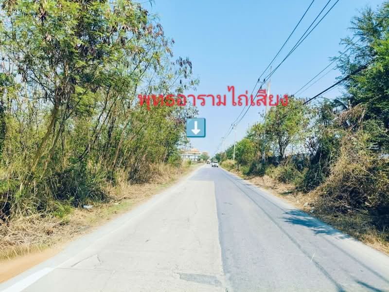 ที่ดินเปล่า ซอยสหพร เนื้อที่ 312 ตรว. ตรงข้ามพุทธอารามไท่เสียง ต.คลองโยง อ.พุทธมณฑล จ.นครปฐม, นครปฐม, คลองโยง, พุทธมณฑล, นครปฐม, 1,248 ตร.ม., ที่ดิน ขาย, โดย ชนะชาติ นนท์ตา, 11772039 - DDproperty.com