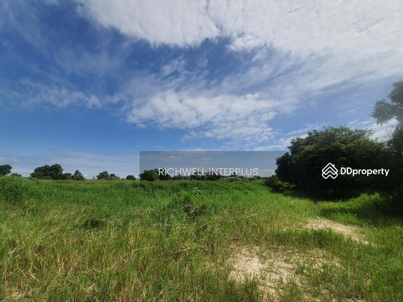 For Sale - Land for sale, Khao Hin Son, 94 rai, cheap price, near Road 304 - 2 km. Phanom Sarakham, Chachoengsao
