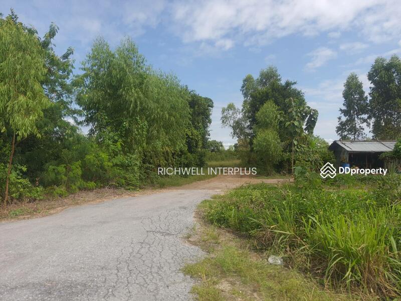 For Sale - Land for sale, Khao Hin Son, 94 rai, cheap price, near Road 304 - 2 km. Phanom Sarakham, Chachoengsao