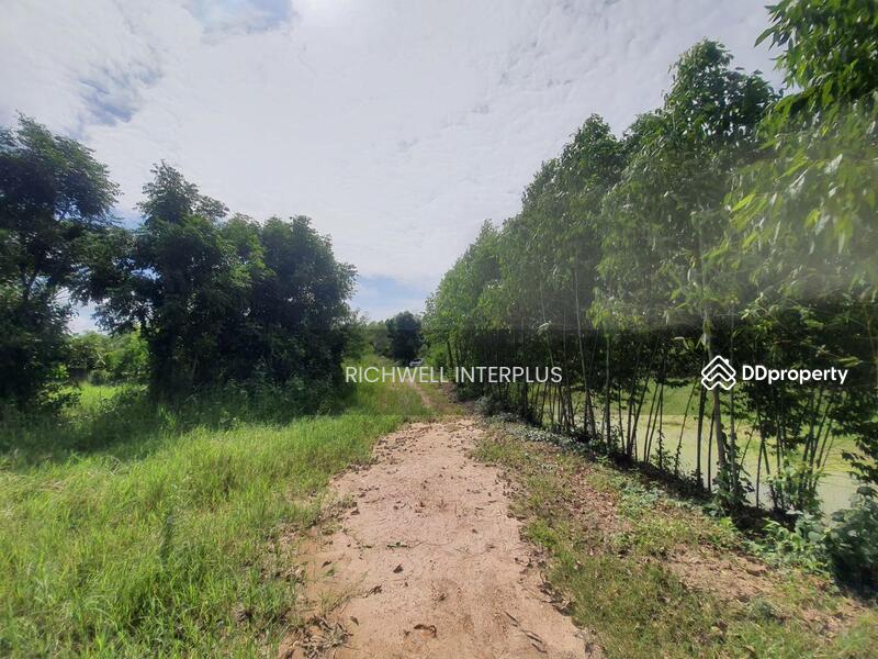 For Sale - Land for sale, Khao Hin Son, 94 rai, cheap price, near Road 304 - 2 km. Phanom Sarakham, Chachoengsao
